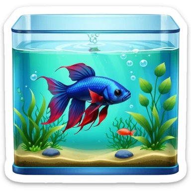 Betta fish tank sticker