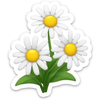 Daisy sticker