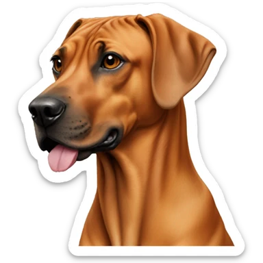 Rhodesian ridgeback  sticker