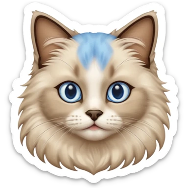 Ragdoll cat, with dark brown center face area with surrounding beige fur, bright blue eyes sticker