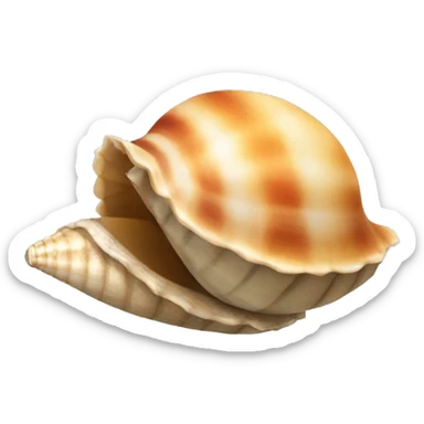 Shell  sticker