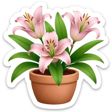 light pink lily flowers in a clay pot sticker