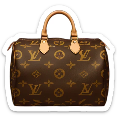 Lv speedy bag sticker