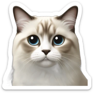 Chat sacré de birmanie sticker
