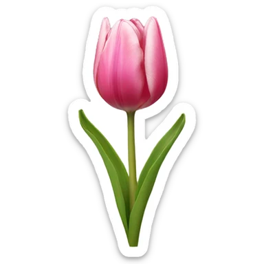 Tulip sticker