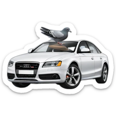pigeon in audi car sticker