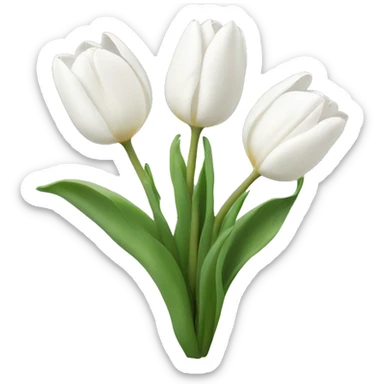 white tulips  sticker
