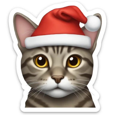 Grey-brown tabby cat wearing santa hat sticker