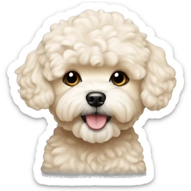 Cream color Maltipoo  sticker