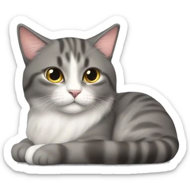 Gary cat with long hair，she lay down sticker