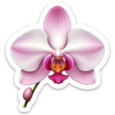 Exquisite phalaenopsis moth orchid with pure white petals and subtle pink center, single bloom sticker