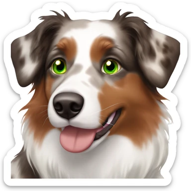 Red Merle Australian shepherd with one blue and one green eye sticker