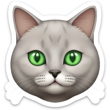 British short hair cat green eyes sticker
