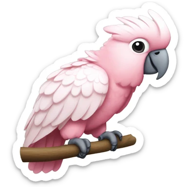 a lazy pink cockatoo sticker