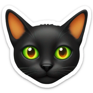 Black cat in orange spots with one left eye green sticker