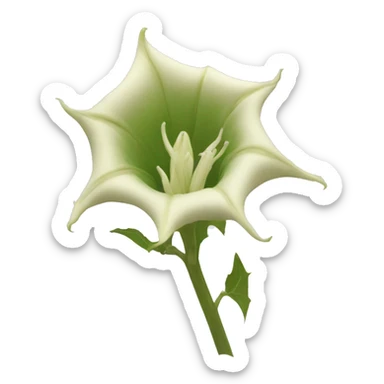 Datura sticker