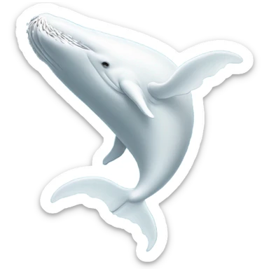 white whale , underside sticker