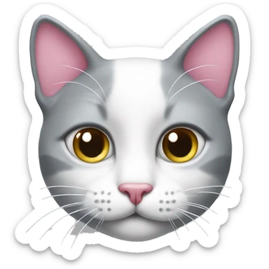 Gray-white cat with a pink nose sticker