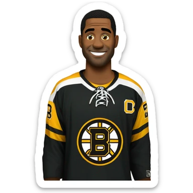 Boston bruins  sticker