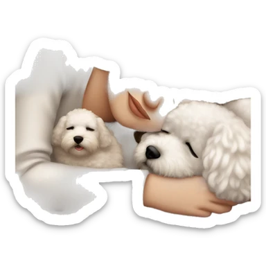 White girl brown hair sleeping with Little Bichon sticker