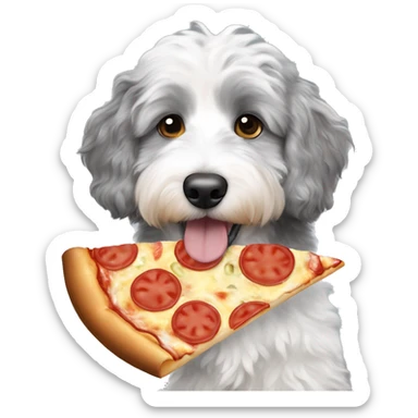 Grey and white miniature Aussiedoodle eating pizza sticker