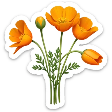 luxuriant bouquet Eschscholzia californica, luxuriant, stem, leaf, bud sticker