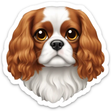 Cavalier king femmina di colore bianco e marroncino  sticker