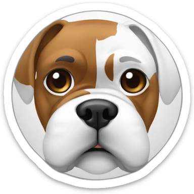 Boxer met in het gezicht wit rond de neus en tussen ogen en de rest sticker