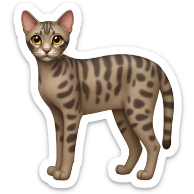 Serengeti Cat Breed Full Body sticker