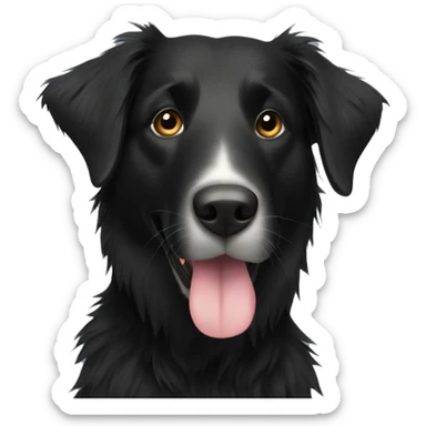 Black scruffy Labrador collie mix sticker