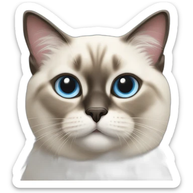 birmanie cat sticker