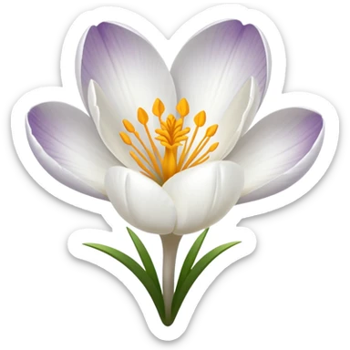 white crocus flower sticker