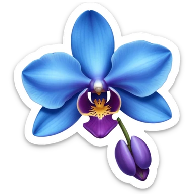 Blue orchid sticker