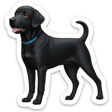 Black labrador dog sticker