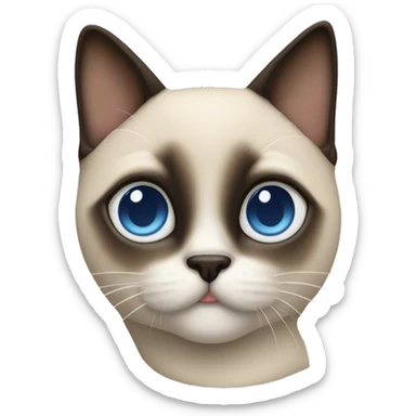 gatto siamese che garda fuori dalla finestra  sticker