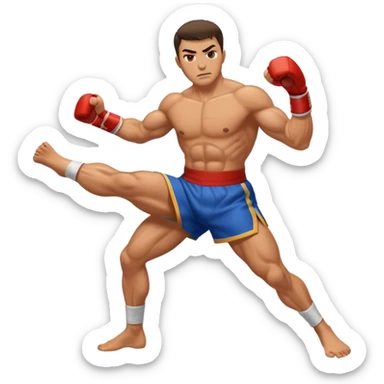 fighter kicking sticker