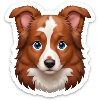 Berger australien rouge merle yeux bleus sticker