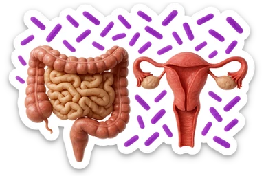 intestino umano anatomico realistico accanto ad un utero umano anatomico realistico, dietro i due organi fluttuano batteri intestinali con questo colore: #971ef1, iperrealistico 4k
isolata su sfondo bianco sticker