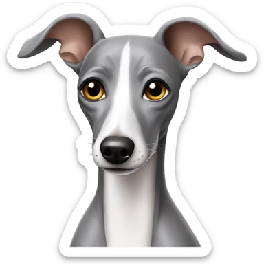 Grey Italian greyhound  sticker