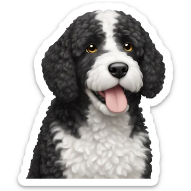 A black and white Spanish water dog  sticker