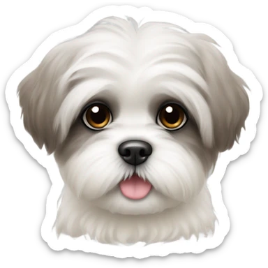 A white puppy that is a shih tzu sticker