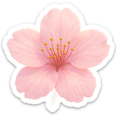 pink cherry blossom with a soft glow, no background sticker