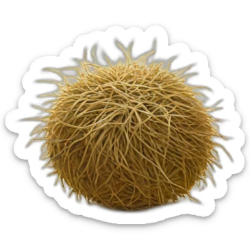 tumbleweed sticker