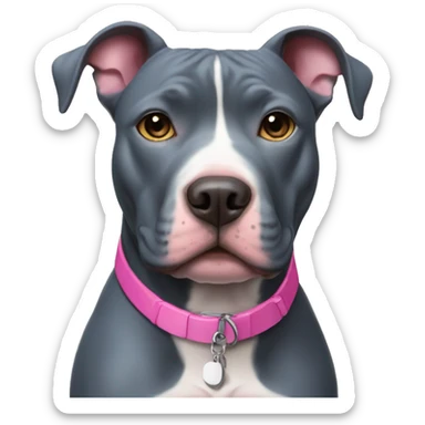 Blue pitbull with pink collar sticker