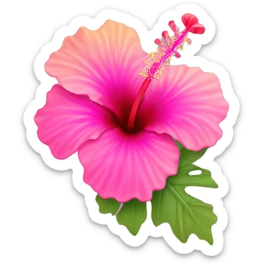Ombré pink hibiscus flower sticker