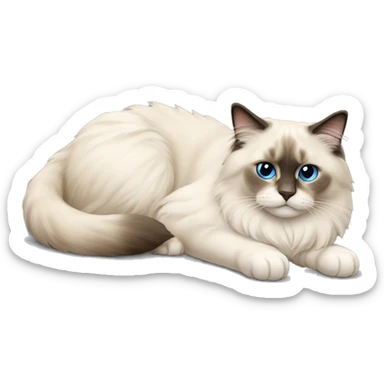 ragdoll cat laying down sticker