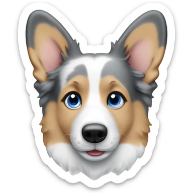 Blue Merle corgi with tan points and a half white face and blue eyes sticker