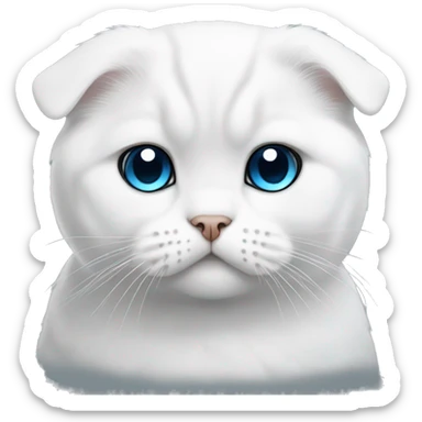 White Scottish fold with blue eyes sticker