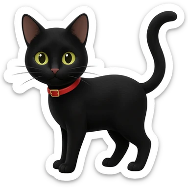 Black cat with red collar looking at me sticker