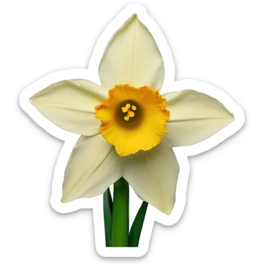 daffodil sticker
